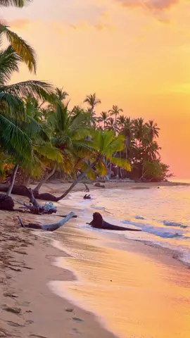 Caribbean vibes 🇩🇴🇩🇴🇩🇴 #dominicanrepublic #beach #sunset #ocean #traveltiktok 