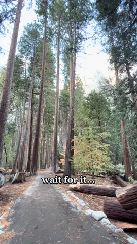 Can’t take him anywhere 😂😂