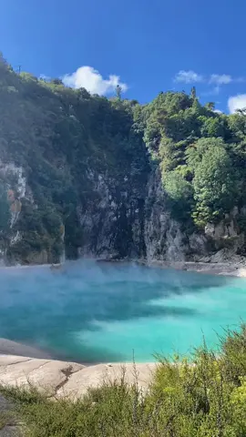 📍Waimangu Volcanic Valley, Rotorua #nz #newzealand #aus #travel #traveltiktok 