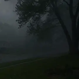 storm in my heart #fyp #xuhuong #xyzbca #someone #lyrics #foryou 