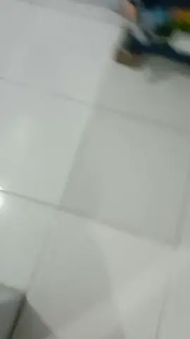 pinter banget anak Lanang🤣 #flks #kucinglucutiktok 