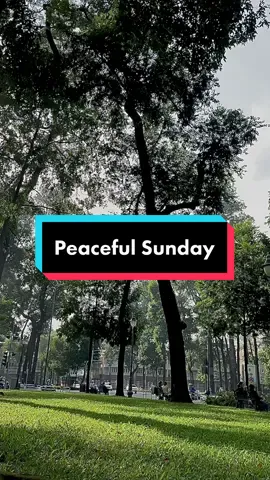 #studyvlog #studywithme #hoctienganh #Vlog #fyp #viral