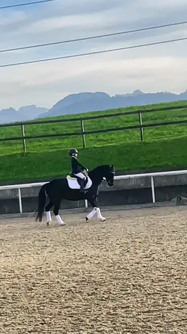 Best Pony ❤️ #fy #fyp #pony #foryoupage #dressur #dressage #deutschesreitpony 