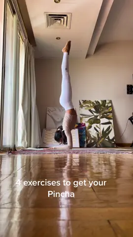 4 exercises to get your pincha!  #yogaegypt #yoga #pincha #forearms #forearmworkout #yogagirl 