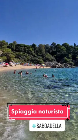Mai stati in una spiaggia naturista? Guardate che spettacolo che è questa, in Spagna! Un possibile spunto per la prossima estate... #spain #Spagna #naturist #beach #spiaggia #saboadella #lloretdemar #costabrava #perte #foryou #mare #estate #Summer #travel #tips 