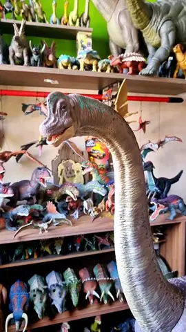 Llegó un grandote a la colección... el nuevo Braquiosauro 🦕  #parquejurasico #jurassicpark #jurassicworld #jurasicworlddominion2022 #dinosaurio #juguetes #mattel #mattelmexico #fyp #foryou #foryoupage #dinosaur #brachiosaurus #velociraptorblue #dinosaurios🦖 