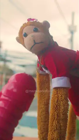 Severino está oficialmente em ritmo de fim de ano! ❤️✨