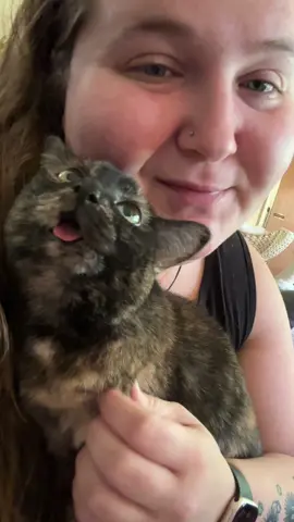 Gremlin girl loves forehead kisses in the morning ☺️ #catladytails #gremlinthecat #catswiththeirtonguesout #wonkycats #blepcat 