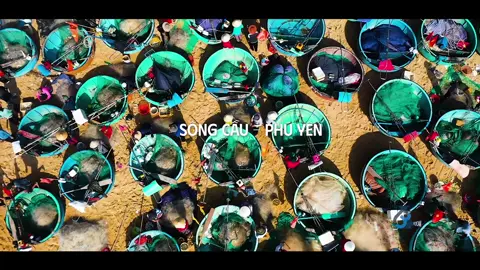 Sông Cầu có một làng chài được mệnh danh thiên đường của thúng! #dulichvietnam #flycamvietnam🇻🇳 #dulichphuyen #flycamphuyen #songcauphuyen #phuyen #