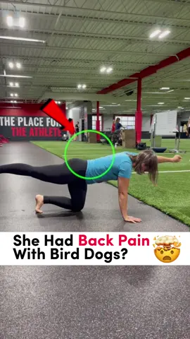 Back pain with this bird dog - fixed! #backpain #backpainrelief #physicaltherapy #chiropractic #doctor #lowbackpain #core #abs #absworkout #workout #gym #health #exercise 