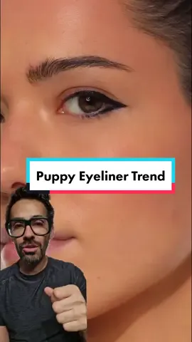 Watch to see how to create the puppy eyeliner  #puppyeyeliner #puppyeyelinertutorial #Eyeliner 