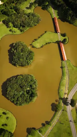 Parque Tingui - Curitiba 😍🌳  #curitiba #cwb #drone #curitibaporoutroangulo #dji #curitibaturismo #curitibando #curitibacool #curitibacult #cwbbrasil #viral #curitibalover #curitiba360 #curitibapr #curitibalovers #curitiba_pmc #curitibasualinda #cwbcool #dronelife #dronepilot #dronefly #djimini3pro #djimavicpro #dronedji #dronevideo #dronephoto #droneshots #dronestagram #parquedacidade #parquetingui #tingui 