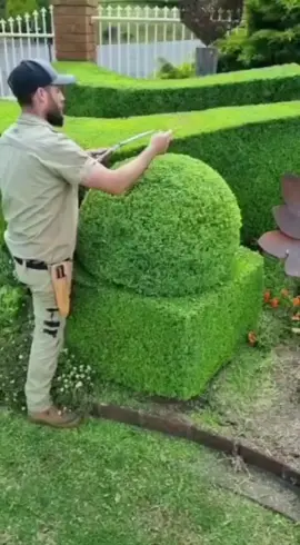 Topiary Tuesday. #topiarytuesday #thisis4u #foryou #trending #reverse #satisfaction #greenscreen #handclipped 