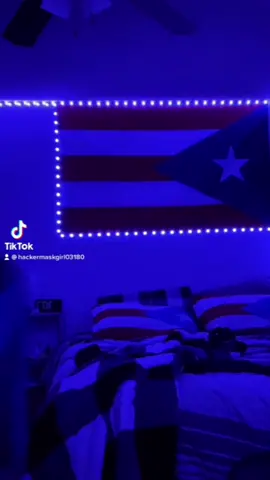 #CapCut 