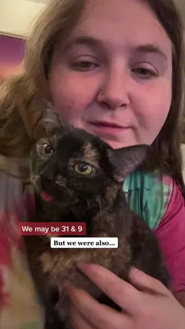 Before Gremlin, I had never had a cat… Then my whole life changed ❤️ I may have teared up making this 🥲 #catladytails #gremlinthecat #catswiththeirtonguesout #catlady #catladylifestyle #specialcats #ilovemycat 