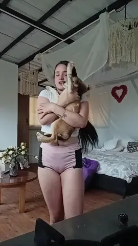 cuando te dan disque un shisu, y te sale más criolla que tú 😹😹😹 #fypシ゚viral🍑🍑💜💙 