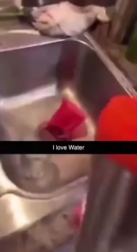 #memes #funnyvideos #foryou 