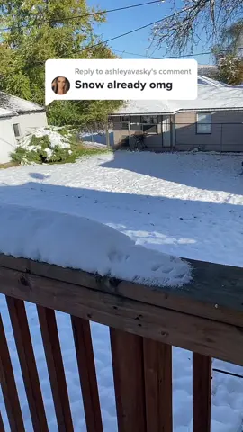 Replying to @ashleyavasky  Let me introduce to you all Spokane weather🙄❄️ #snow #novembersnow #pnwlife #washington #spokane #cold #snowsnowgoaway #GenshinImpact32 #fyp 