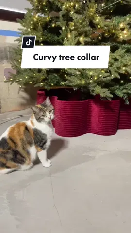 I should patent this or something #christmasdiy #diychristmasdecor #treecollar 