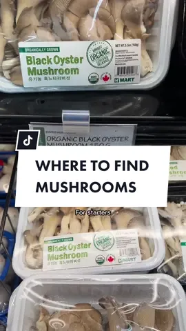 I always find different mushrooms at international grocery stores. My favorites are @H Mart & Bestway. 🍄  And in case you’re wondering, all the dishes mentioned in the video are in our eBook “130+ Electrifyingly Delicious, Easy Plant-Based Recipes.” 📚⚡️ #groceryshopping #groceryhacks #alkalinevegan #plantbasedtiktok #vegangroceries #wellnesstiktok #grocerystore  