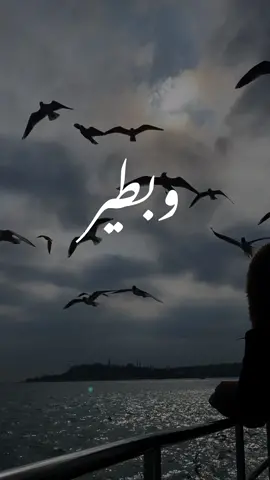 #وبطير_زياد_برجي #زياد_برجي #وبطير_من_كتر_الفرح_لبعيد  