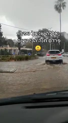 #שניצלפוינט #שניצלטפירו #פרדסחנה #פרדס_חנה_כרכור #פרדסחנהכרכור 