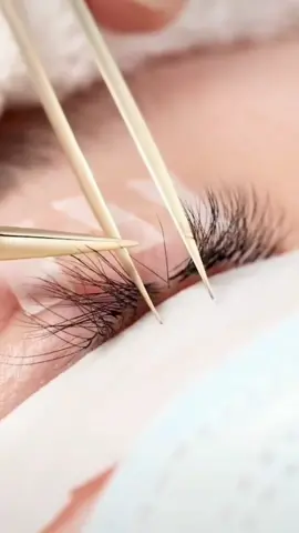 Eyelash graftng steps#lash business #lash salon#lash extension#lash training #tiktok
