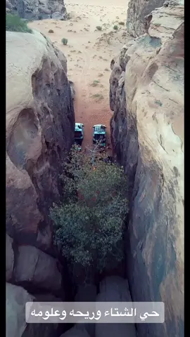 #محمد_المقحم #الشتاء 