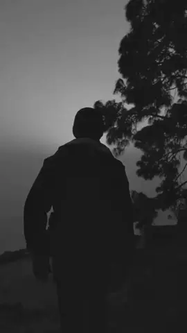 ፀጋዬ እሸቱ ለሰርጓ ተጠራሁ#foryou #music #viralvideo #viral #foryoupage #90s #habeshatiktok #tik_tok #ethiopian_tik_tok #fyp #duet #fypage #fy #habeshamusic #fypdongggggggg #fypシ゚viral #answer #ethiopian #ethiopia 