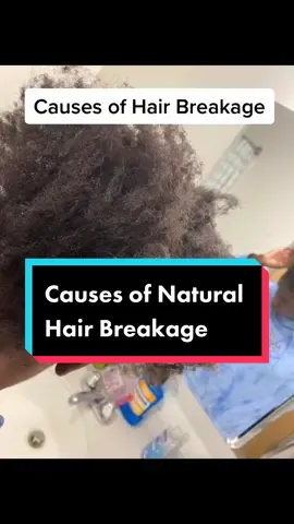 Causes of Natural Hair Breakage... #fyp #4chair #foryoupage