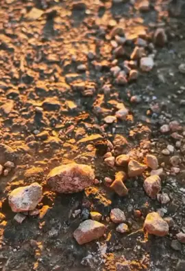 #نورس #nawras #foryoupage 