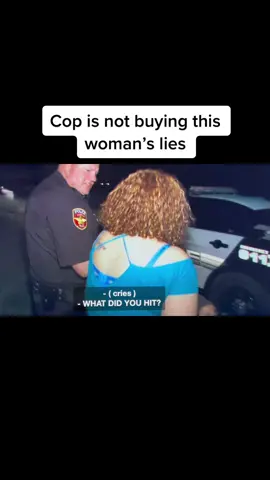 #hitandrun #tears #cops #lies 