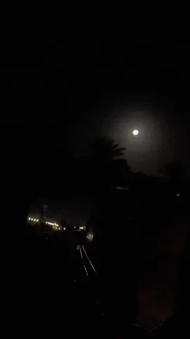 حبش بس يسليني🤎#ايمن_قصيله #قالت_حبيبي #foryou #fy #viral #fypシ #ترند #fyp #اغاني #pov #حركة #الاكسبلور🔥 #like #لايك #لايك❤️ #تصميمي #تصويري #اكسبلورexplore #حولها #تبوك #اغاني_يمنيه 