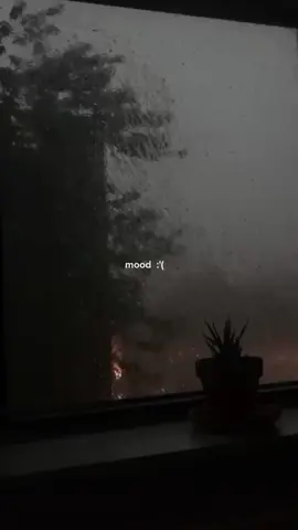 #novoamor  #carryyou  #sad 