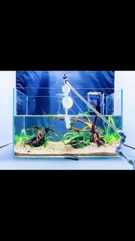 Wow, nice diy fish tank landscaping#aquarium #landscape #landscaping #aquascape #diycraft #diyfishtank #fyp #minifishtank #fishtank #homedecor #aquariumfish