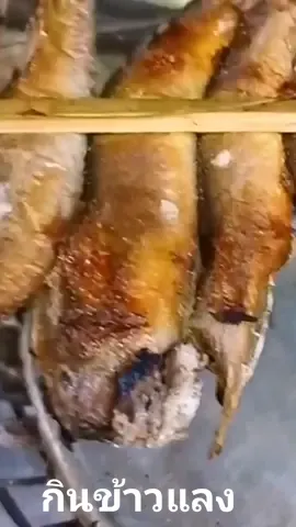 ปิ้งปลาหรดกับข้าวเหนียว​ใหม่ครับ#กินข้าวแลงนํากันเด้อพี่น้อง😋 #กินข้าวแลง #คนบ้านนอก #อีสานบ้านๆ #อีสานบ้านนา #ชาวนา #ชีวิตบ้านๆ #ชาวนาชาวไร่ #อีสานบ้านเฮา #ลูกอีสานพลัดถิ่น #ปิ้งปลา #tiktokuni #tiktokฮาวทู #เพื่อนติ๊กต๊อก 