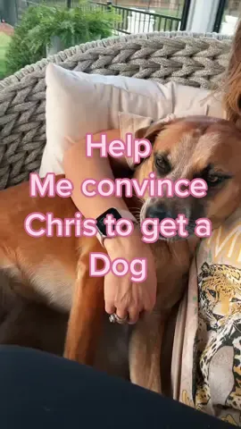 Help me convince him #dogsoftiktok #dog #trending #helpmeplease #marriage #iwantadog #christmaswishlist #fyp #fyf #mylife 