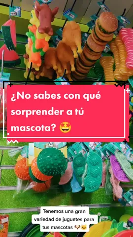 Tu peludo merece lo mejor 🤩 #jugueteparamascotas #tiendademascotas 