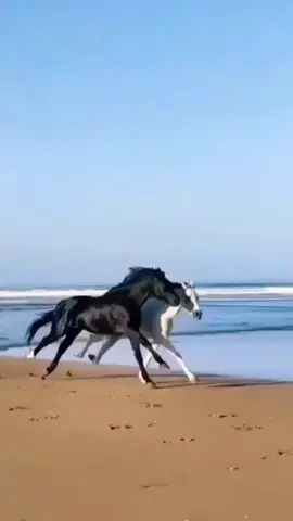 #CapCut #barrywhite #barrywhitemusic #myfirstmylastmyeverything #classics #classicalmusic #remastered #instrumentalbeats #instruments #musica #musicvideo #chillwithtiktok #Love #emotional #loveyou #motivationalvideo #nature #beautifulnature #beautifulmusic #ocean #relaxingmusic #relaxation #music #song #viral #xzybca #foryou #frypg #foryoupage #trending #relaxingvideos #Relax_music #relaxingsounds #relaxingvideosforyou #naturelover #likes #tik_tok #xyzbcafypシ #classicalmusictiktok #relaxingvideos #viralvideos #motivationalvideo #emotional #sea #birds #mountains #ocean #naturelover #scenery #relaxationtime #goodvibes #tiktok #relax #viral_video #beauty #lovers #chillout #ambient #peaceful #wildanimals #instrumentalmusic #relaxingvibes #naturelovers #sceneryvisual #sceneryvideos #naturelove #classicsongs #classicalmusictiktok 