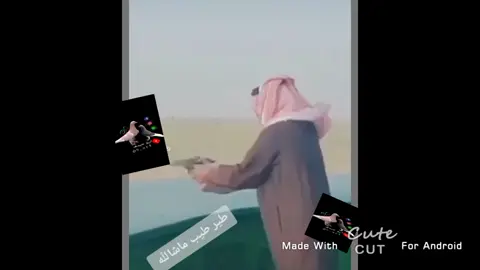 صعدو احبكم 