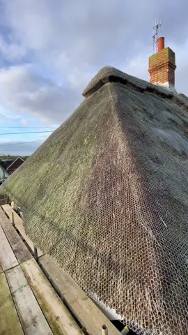 New start to this complete re-thatch 🛖 #thethatchingguy #alright #thatch #thatching #cottage #build #english #england #traditional #skills #beautiful #Love #roof #fyp #foryou 