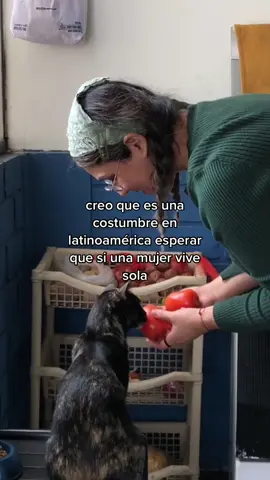 Si te vas a independizar, lo mejor que puedes hacer es vivir solx.
