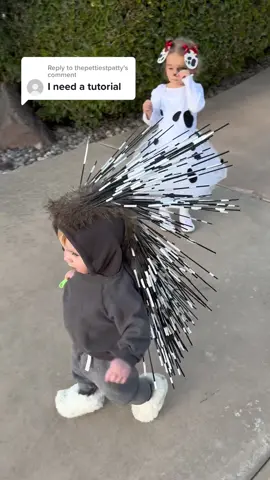 Replying to @thepettiestpatty  #halloween2021 #diycostumes #porcupine #halloweencostume 