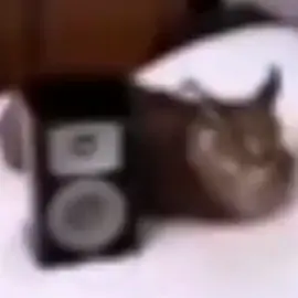 :D   #streamer #streaming #twitch #quackity #fypシ #Minecraft #breakingbad #tengotresviejasseñores 