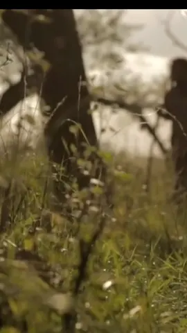 #dreadmari#fyyyyyyyyyyyyyyyy#music#tiktok#Reggae#lyrics 