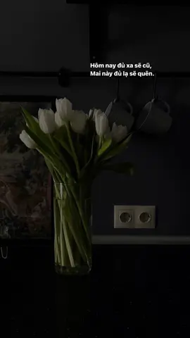 #xuhuong #xuhuongtiktok 