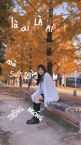 Và giờ con tim này đã rung động ☺️☺️☺️#岐阜 #lávàng 