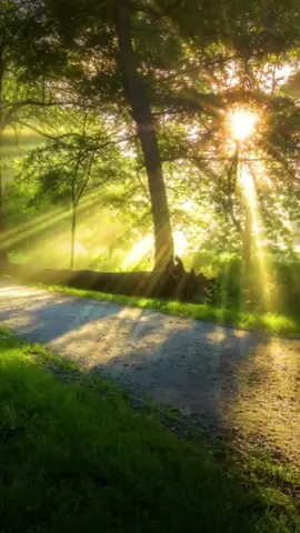 Morning!#morning #beautiful #sunshine #scenery #sun 