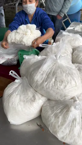 máy bún kết hợp máy rửa tự động 2022 lh 098 959 3688