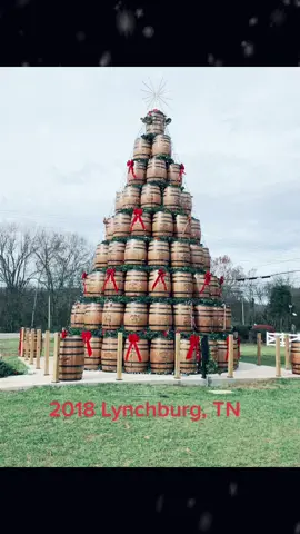 Just a few of my favorite Christmas trees. #jdbarreltree #JDBarreltree2022 #jackdaniels #nashville #lynchburg #milwaukee #deerdistrict #milwaukeebucks #wisconsin #tennessee #miller #millervalley #christmastree #christmas #myfavorite #fyp 